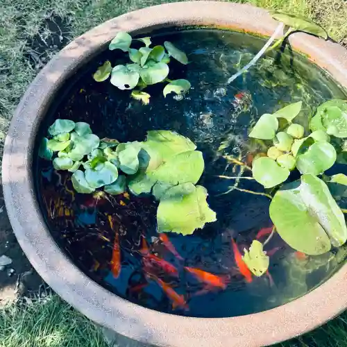 西雲寺(埼玉県)