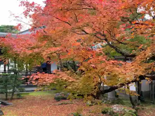 仁和寺の庭園