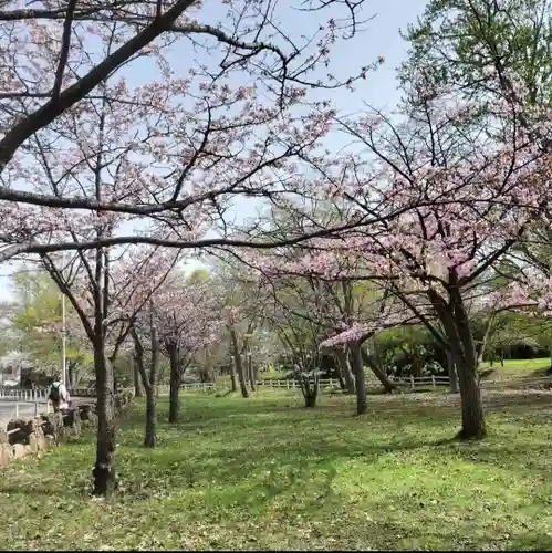 札幌護國神社の自然