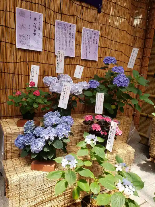 十番稲荷神社(東京都)