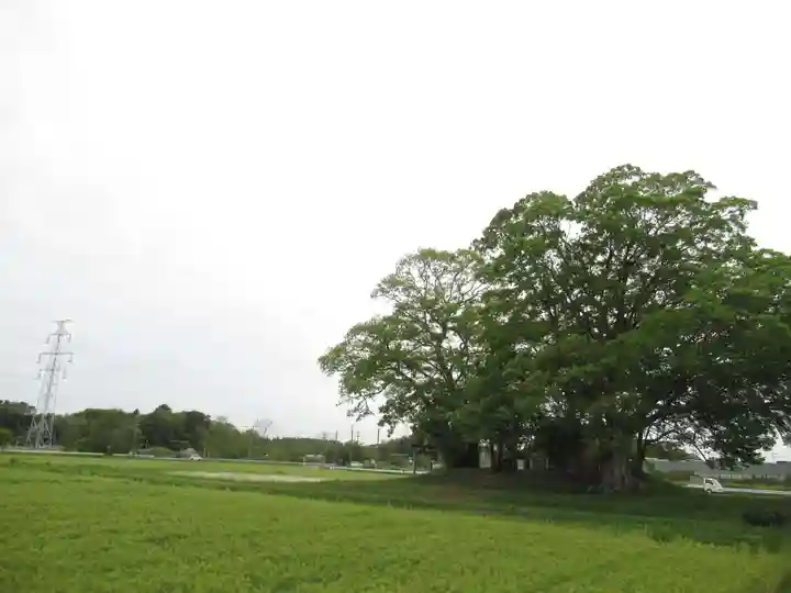 神明神社(千葉県)