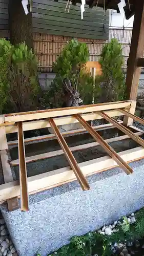 東京大神宮の手水舎