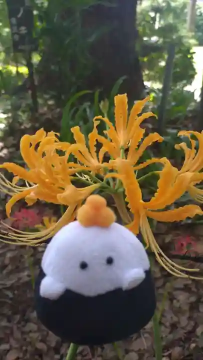 横浜 西方寺(神奈川県)