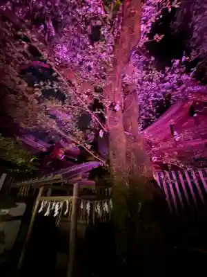 金刀比羅神社の{uncategorized: "未分類", other: "その他", undefined: "問題あり", building: "その他建物", grave: "お墓", sacred_gate: "鳥居", guardian: "狛犬", statue: "像", buddha: "仏像", history: "歴史", nature: "自然", garden: "庭園", animal: "動物", pagoda: "塔", temizu: "手水舎", mountain_gate: "山門・神門", sanctuary: "本殿・本堂", subordinate: "末社・摂社", art: "芸術", scenery: "景色", jizo: "地蔵", ema: "絵馬", goshuin: "御朱印", omikuji: "おみくじ", items: "授与品その他", amulet: "お守り", goshuincho: "御朱印帳", eats: "食事", festival: "お祭り", votive_dance: "神楽", shichigosan: "七五三参", wedding: "結婚式", experience: "体験その他", initially: "初詣", around: "周辺", anti_infection: "感染症対策"}