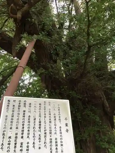 千葉寺のその他建物