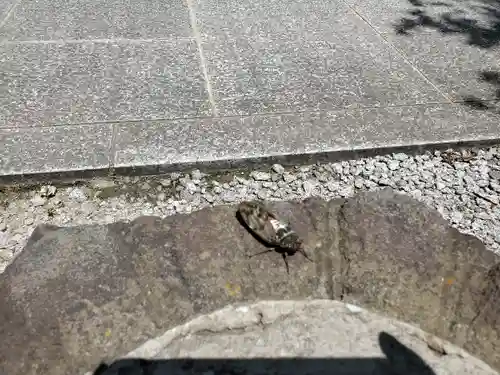 滑川神社 - 仕事と子どもの守り神の自然