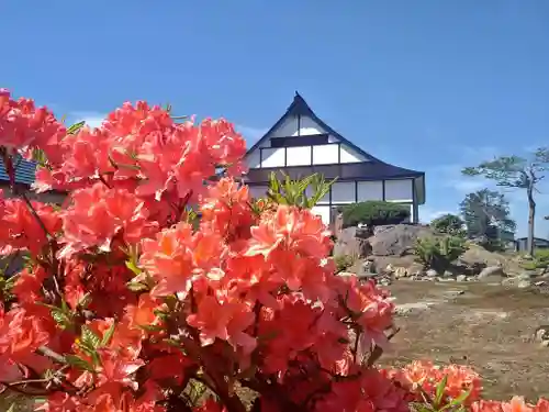 雨竜　専福寺の庭園