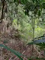 山王大権現(千葉県)