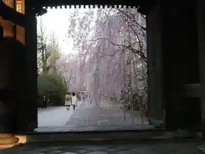 吉祥寺のその他建物