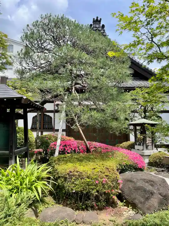 正覚寺(東京都)