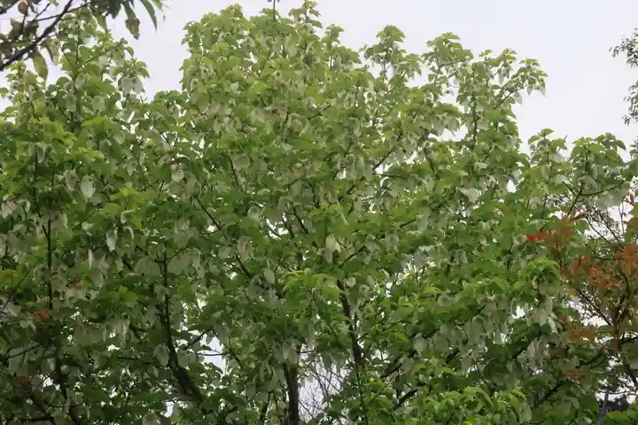 古峯神社の庭園
