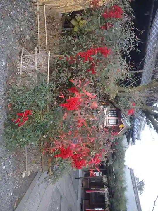 下御霊神社(京都府)