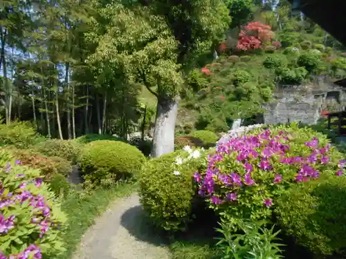 仏行寺（佛行寺）の庭園