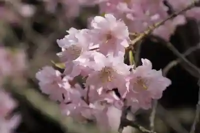 光明寺（粟生光明寺）(京都府)