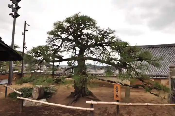 西国寺(広島県)