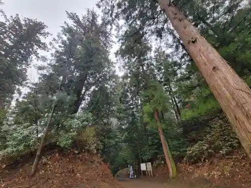 妙義神社(群馬県)