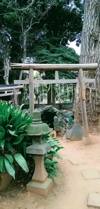 厳嶋神社の鳥居