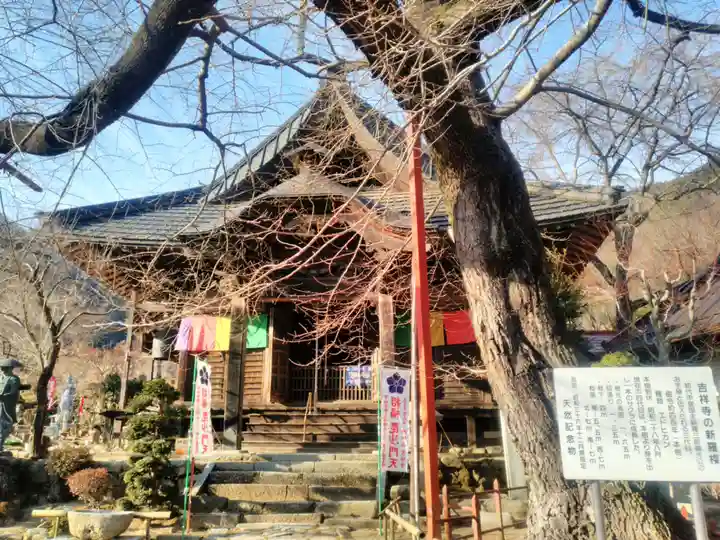 吉祥寺の本殿・本堂