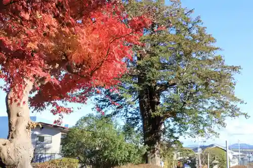 豊景神社の景色