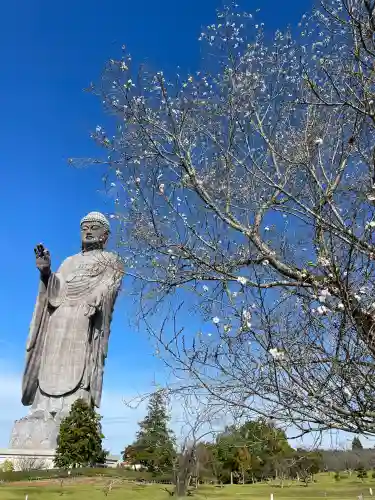東本願寺本廟 牛久浄苑（牛久大仏）(茨城県)