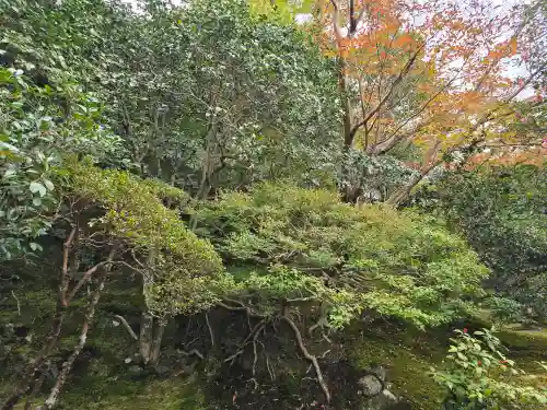 霊鑑寺門跡(京都府)