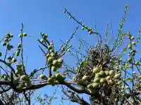 貴布禰神社(静岡県)