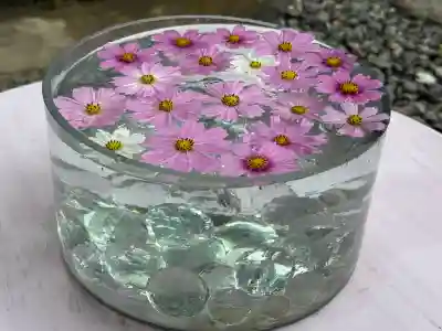 般若寺 ❁﻿コスモス寺❁(奈良県)