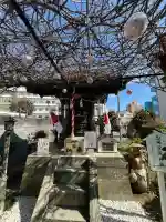 船場菅原神社の{uncategorized: "未分類", other: "その他", undefined: "問題あり", building: "その他建物", grave: "お墓", sacred_gate: "鳥居", guardian: "狛犬", statue: "像", buddha: "仏像", history: "歴史", nature: "自然", garden: "庭園", animal: "動物", pagoda: "塔", temizu: "手水舎", mountain_gate: "山門・神門", sanctuary: "本殿・本堂", subordinate: "末社・摂社", art: "芸術", scenery: "景色", jizo: "地蔵", ema: "絵馬", goshuin: "御朱印", omikuji: "おみくじ", items: "授与品その他", amulet: "お守り", goshuincho: "御朱印帳", eats: "食事", festival: "お祭り", votive_dance: "神楽", shichigosan: "七五三参", wedding: "結婚式", experience: "体験その他", initially: "初詣", around: "周辺", anti_infection: "感染症対策"}