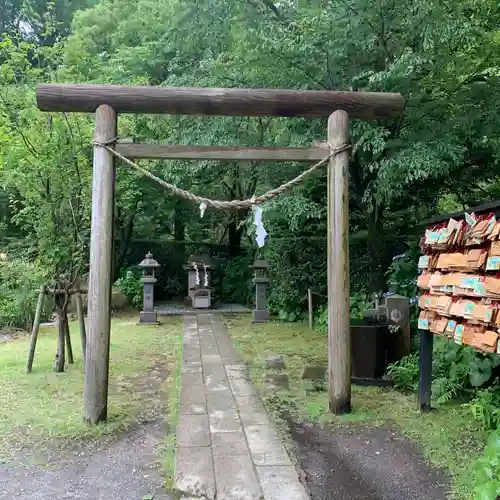 猫神社の鳥居