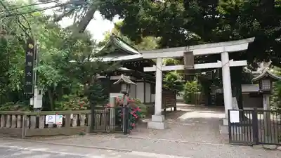 杵築大社の鳥居