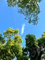 石切劔箭神社(大阪府)