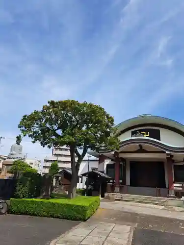 常光寺(東京都)