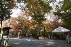 神峯山寺(大阪府)