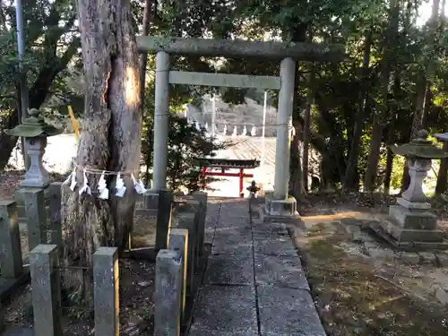 伊古乃速御玉比売神社の鳥居