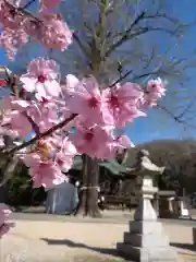 賀羅加波神社の自然