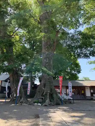 八枝神社(埼玉県)
