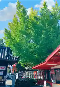 瀧宮神社(広島県)(2025年11月16日(日) 06時03分49秒投稿)