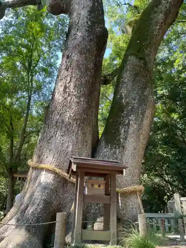 伊弉諾神宮(兵庫県)