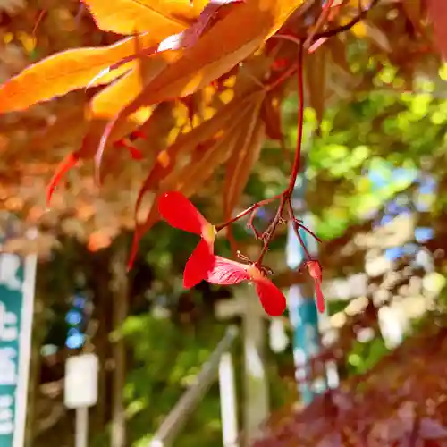 滑川神社 - 仕事と子どもの守り神の自然