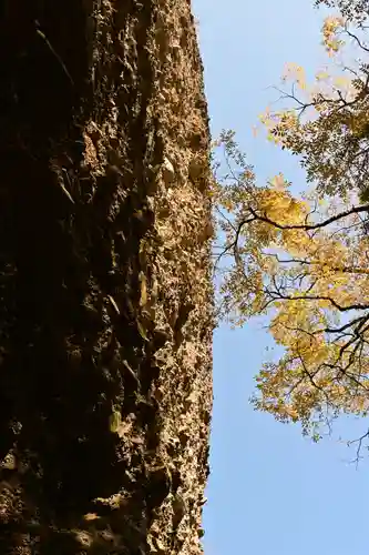 古岩屋不動尊(愛媛県)