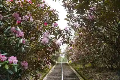 金刀比羅神社(奈良県)