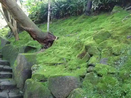 報国寺の庭園