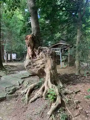 鴨鳥五所神社(茨城県)