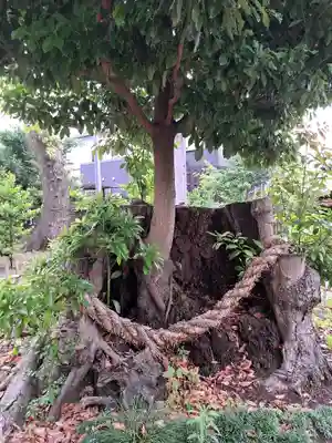 日々神社(神奈川県)