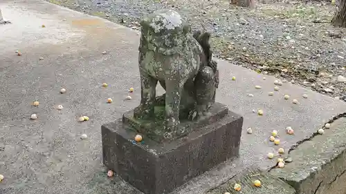 神明神社の狛犬