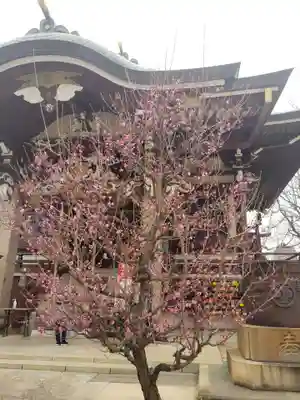 諏訪神社(東京都)