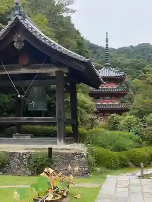 三室戸寺(京都府)