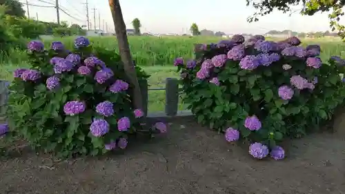 月讀神社の自然