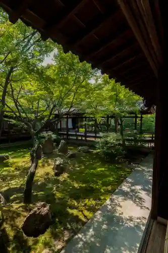 建仁寺（建仁禅寺）(京都府)