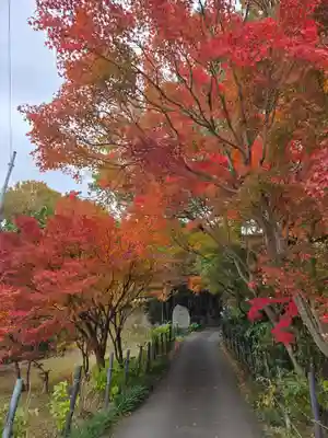世尊寺(愛知県)